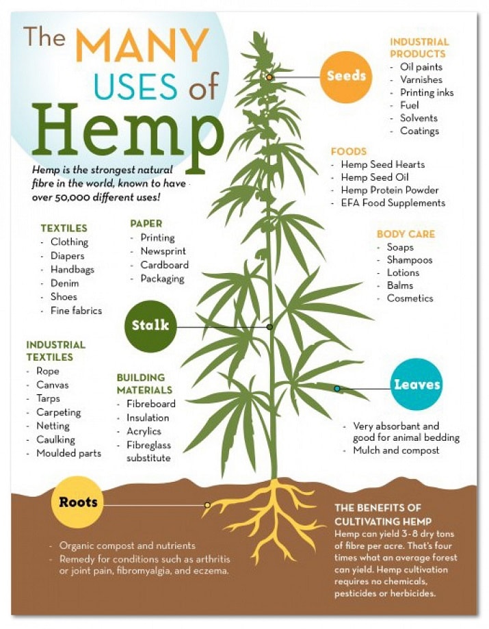 The Many Uses of Hemp